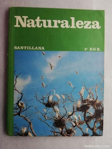 NATURALEZA SANTILLANA 5 EGB