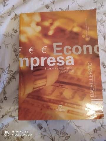 Economía y organización de empresas