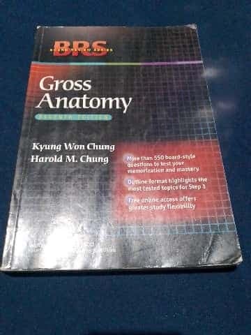 Gross anatomy