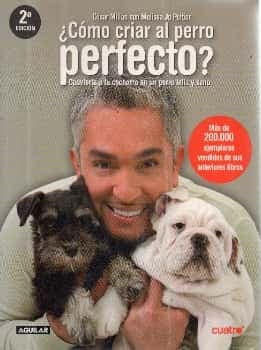 ¿Como criar al perro perfecto?