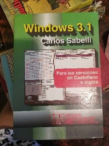 Windows 3.1