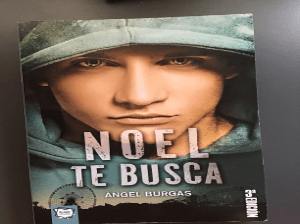 Noel te busca