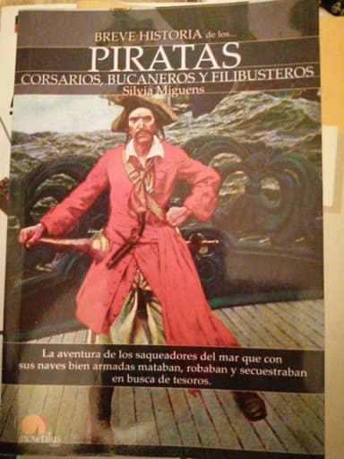 Breve historia de los piratas