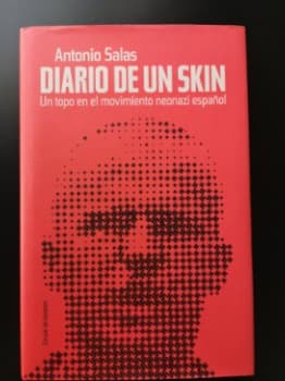 diario de un skin