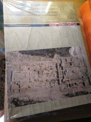 Les basíliques paleocristianes del suburbi occidental de Tarraco El temple septentrional i el complex martirial de Sant Fructuós