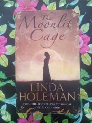 Moonlit Cage