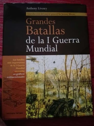 Grandes batallas de la I Guerra Mundial