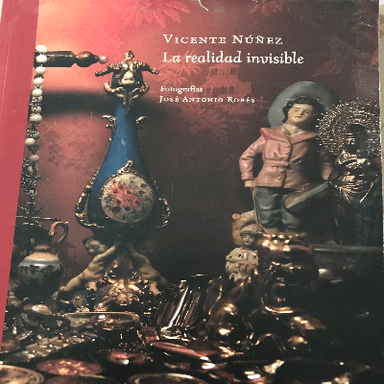 Vicente Núñez la realidad invisible