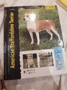 American Staffordshire Terrier (Excellence)