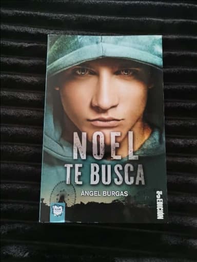 Noel te busca