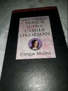 una sombra donde sueña camila ogorman