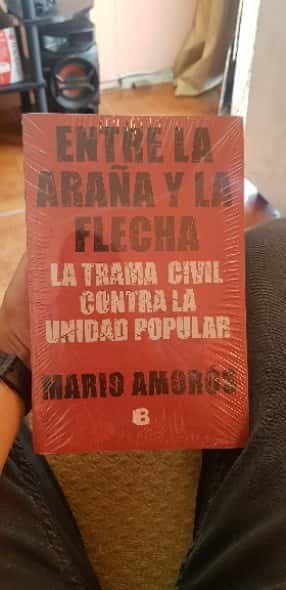 Entre la araña y la flecha