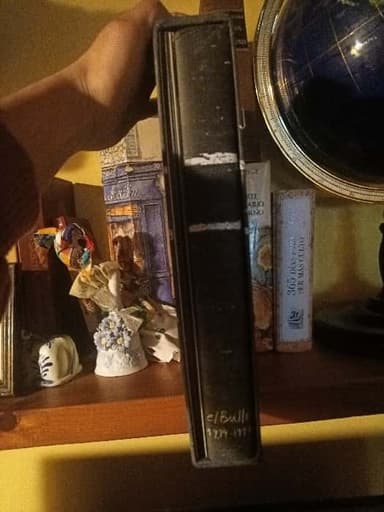 El Bulli 1994-1997 with Doll