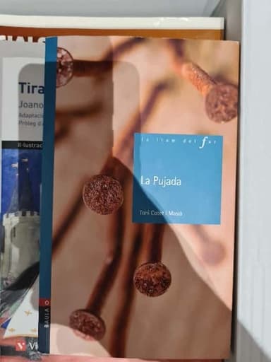 LA PUJADA