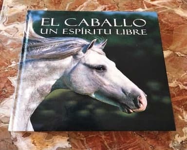 El caballo un espíritu libre