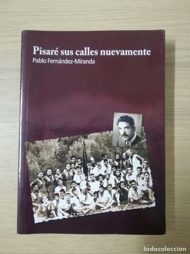 PISARE SUS CALLES NUEVAMENTE - PABLO FERNANDEZ-MIRANDA