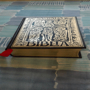 Sagrada Biblia