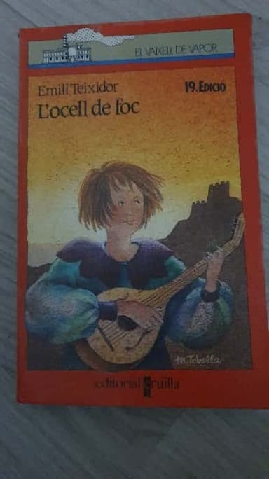 Locell de foc