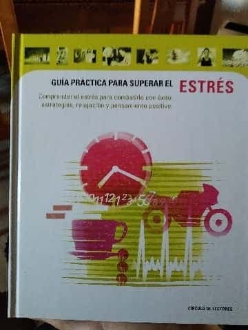 GUIA PRACTICA PARA SUPERAR EL ESTRES. COMPRENDER EL ESTRES PARA COMBATIRLO CON EXITO