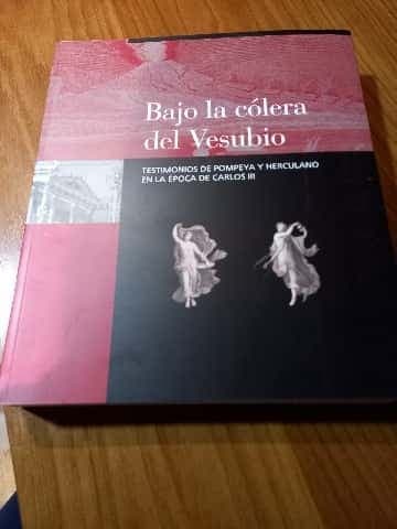 Bajo la cólera del vesubio 