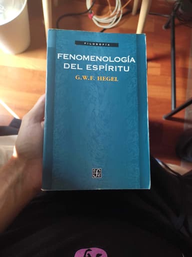 Fenomenologia del espiritu