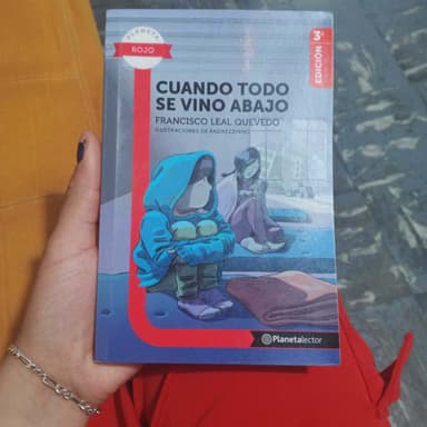 cuando todo se vino abajo