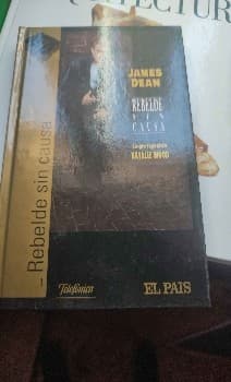 Rebelde sin causa