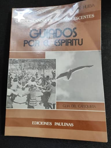 Guiados por el espíritu