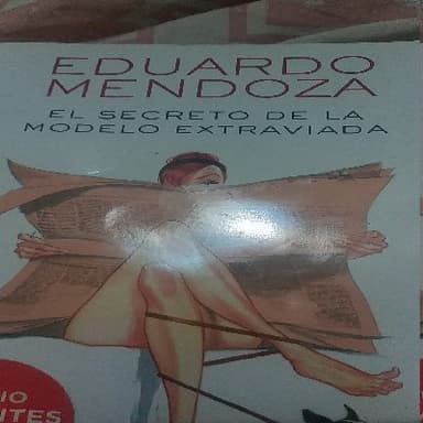 El secreto de la modelo extraviada