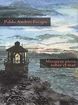 Mientras nieva sobre el mar