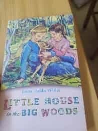 Little House in the Big Woods