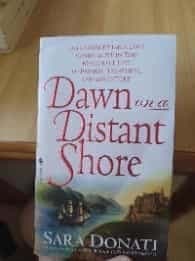 Dawn on a distant shore