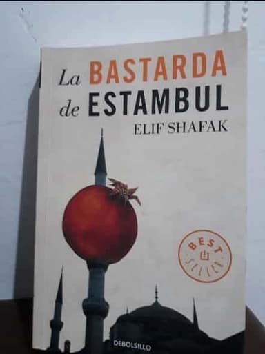 La Bastarda de Estambul