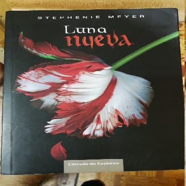 Luna Nueva