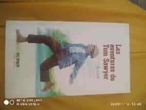 Las aventuras de Tom Sawyer