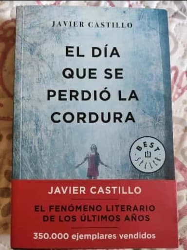 El dia que se perdio la cordura