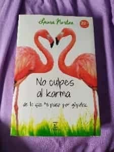 No culpes al karma de lo que te pasa por gilipollas