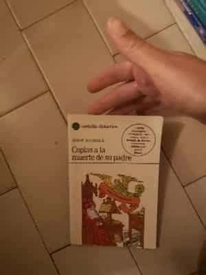 Coplas a la muerte de su padre