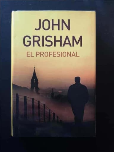 El profesional