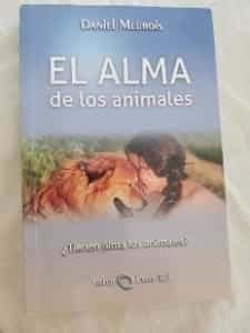 El alma de los animales 