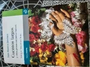 Cuentos Largos y otras prosas narrativas breves