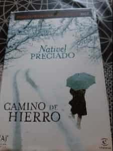 Camino de hierro