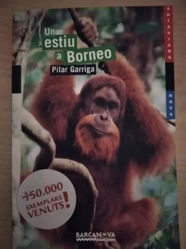 Un estiu a Borneo