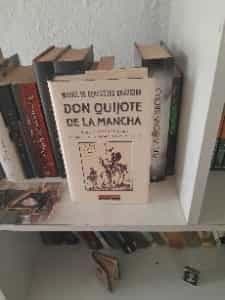 don quijote de la mancha 