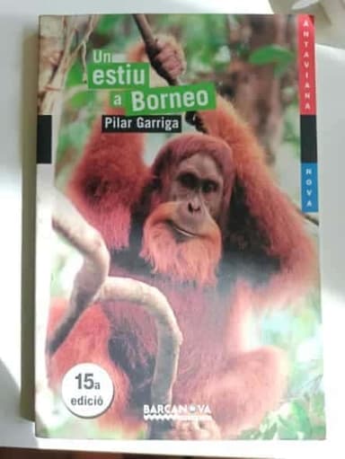 Un estiu a Borneo