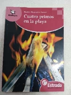 Cuatro primos en la playa