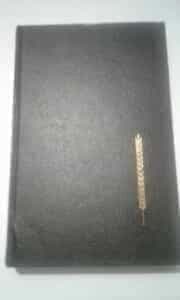 QBVII