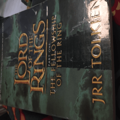 The fellowship of the ring