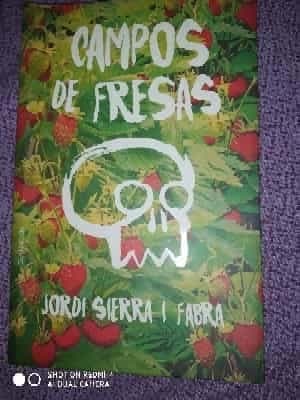 CAMPOS DE FRESAS