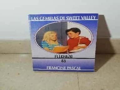 Flechazo - 43 Gemelas de Sweet Valley